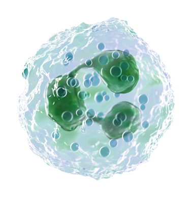 background image vector